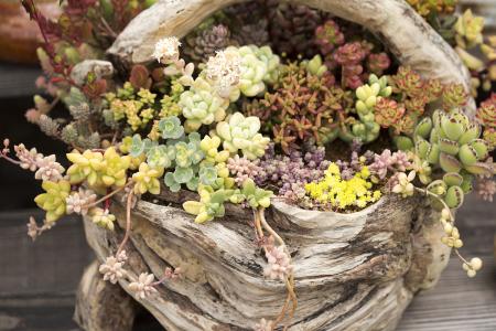 һ980!֣ݾһСթƭŻ